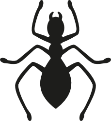 hangyusz